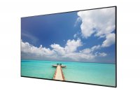 SAMSUNG ED-D Series 75” Direct-Lit LED Display